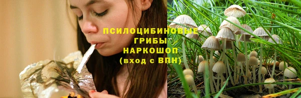 твердый Алексин